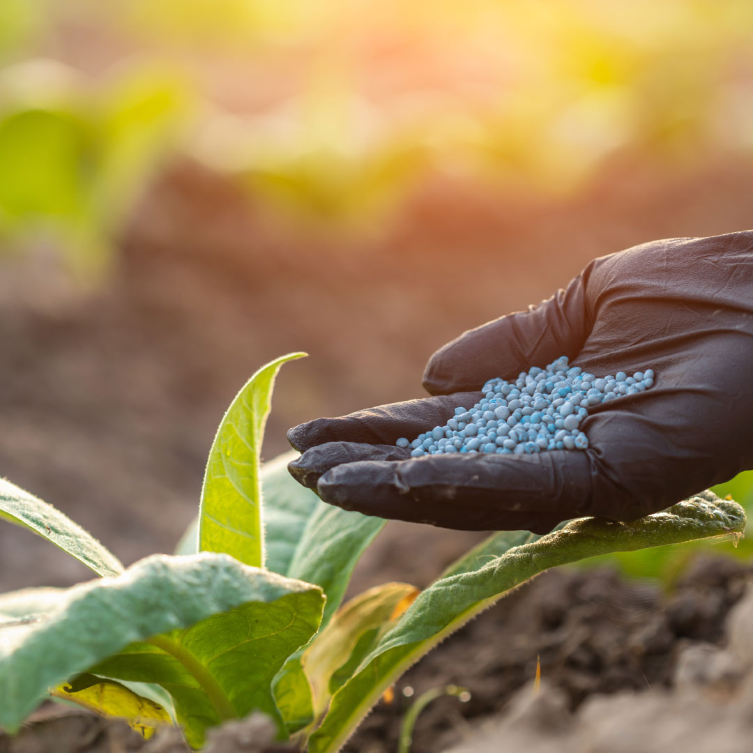 Feed & Fertilizers